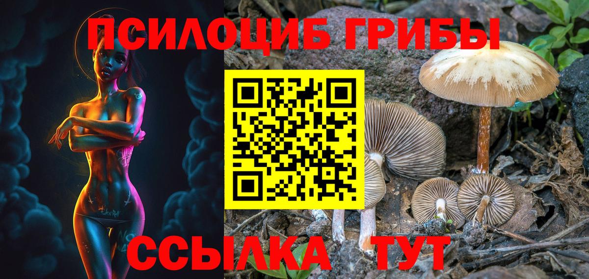 Аша  Псилоцибиновые грибы Psilocybine cubensis  Псилоцибиновые грибы MAGIC MUSHROOMS  Вход с VPN 
