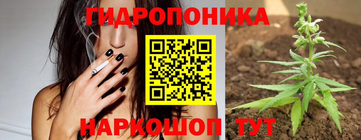 Бошки марихуана OG Kush Аша